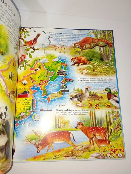 Atlas Infantil dos Animais - Os Habitats