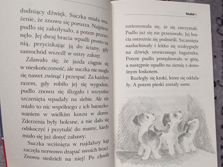 Zaopiekuj się mną Holly Webb - Inka, porzucone szczenię - piesek