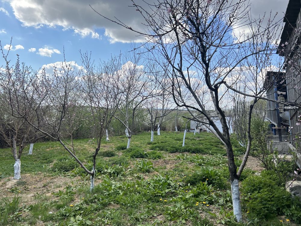 Складські  приміщення