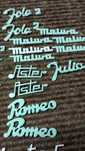 Defil logo Aster Samba Lotos