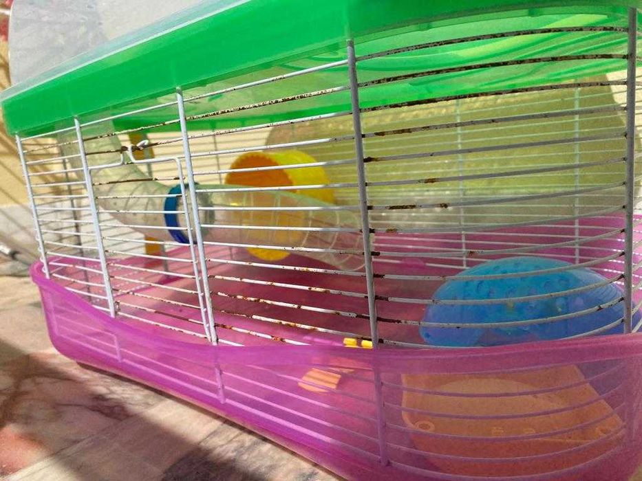 gaiola para roedores