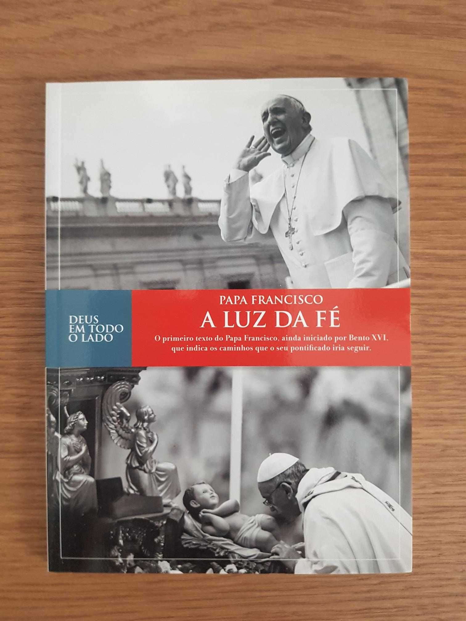 Conjunto 7 Livros Papa Francisco (NOVOS)