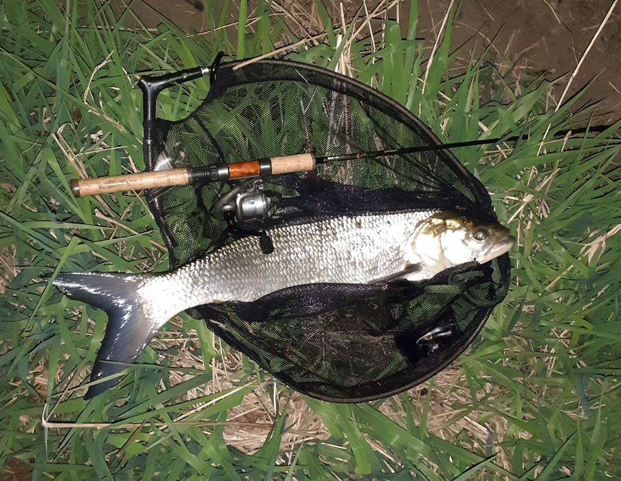 Mikro, micro jigi   zestaw 10 szt