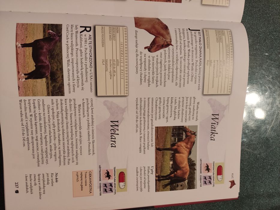 Konie i kuce Kompendium Album