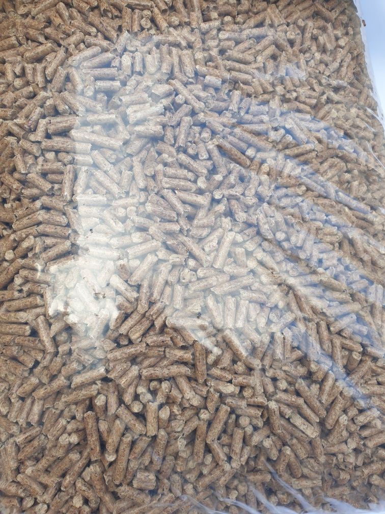 Żwirek dla świnek morskich 15kg odpylony Promocja
