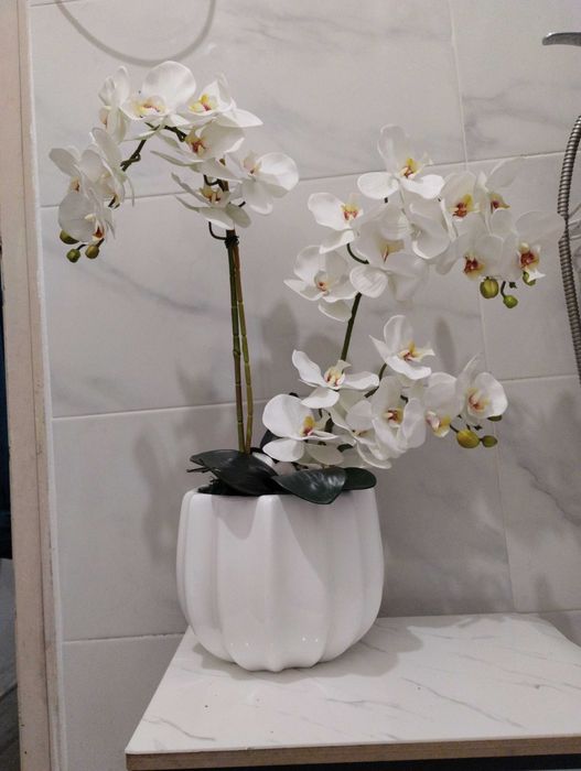 Arranjos de Orquídeas permanentes
