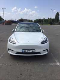 Tesla Model Y Long Rang 75 kwt Dual Motor (351 л.с) AWD Base