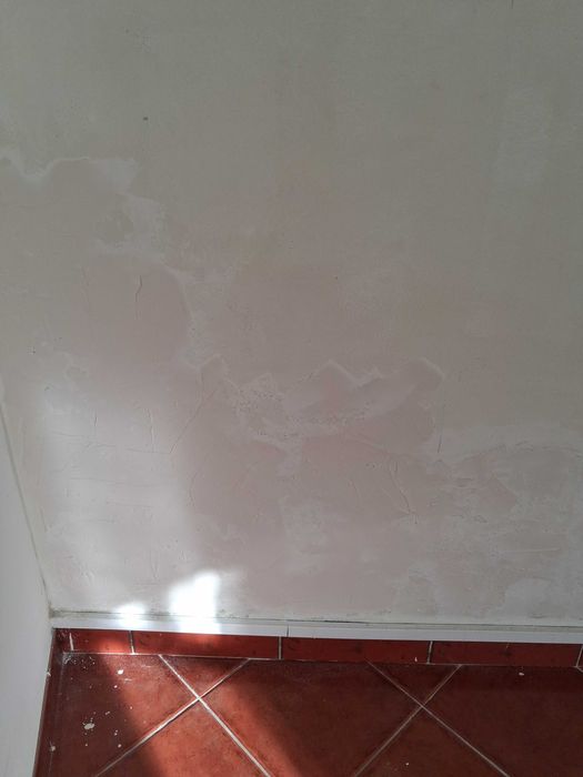 Pinturas fernandes