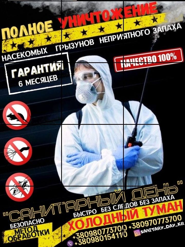 Уничтожение Тараканов Избавиться Прусаки Травить Клопов Мух Блох