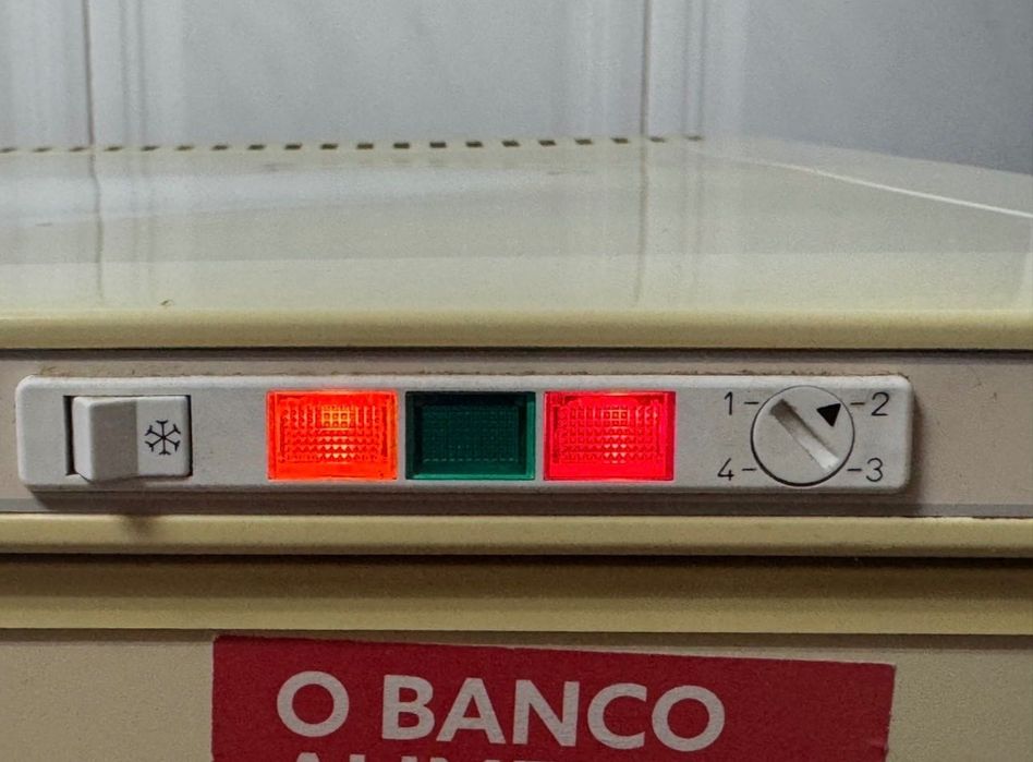 Arca frigorífica congeladora