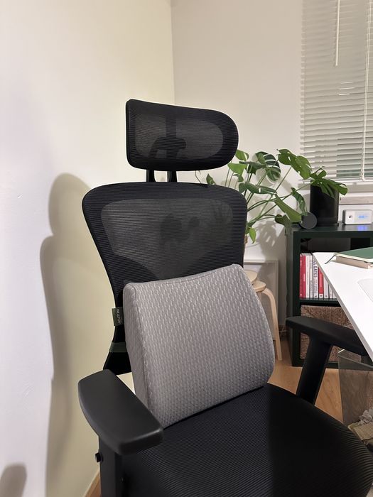 Almofada lombar RYGGE