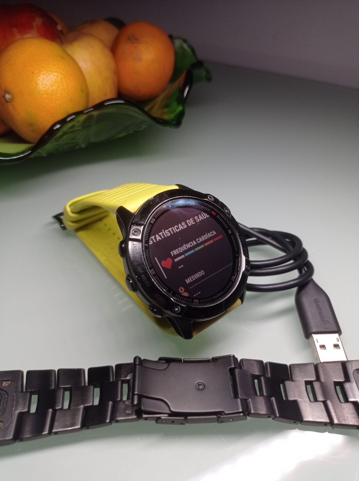 Garmin Fênix 6X Pró