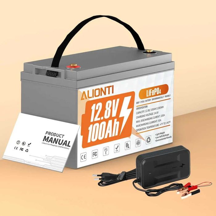 Акумулятор для ДБЖ Alionti LiFePO4 12V/100AH LiFePO4 ( АКБ + зарядка )