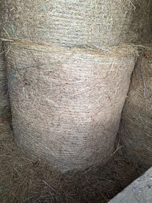 Sprzedam słoma siano sianokiszonka