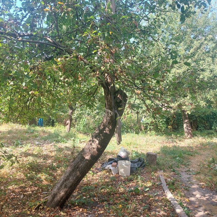 Продаж 3-кімнатного будинку з гаражем