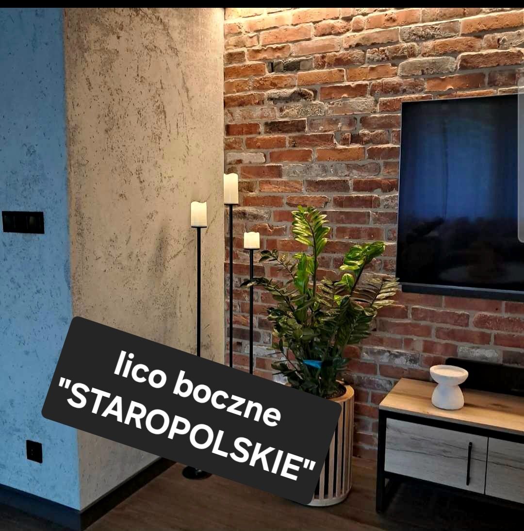 PROMOCJA cegła na ścianę płytki dekoracyjne LOFT cięta lico elewacje