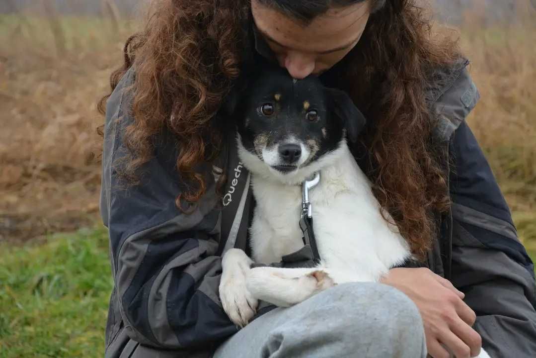 W poszukiwaniu domku dla delikatnej Majeczki...