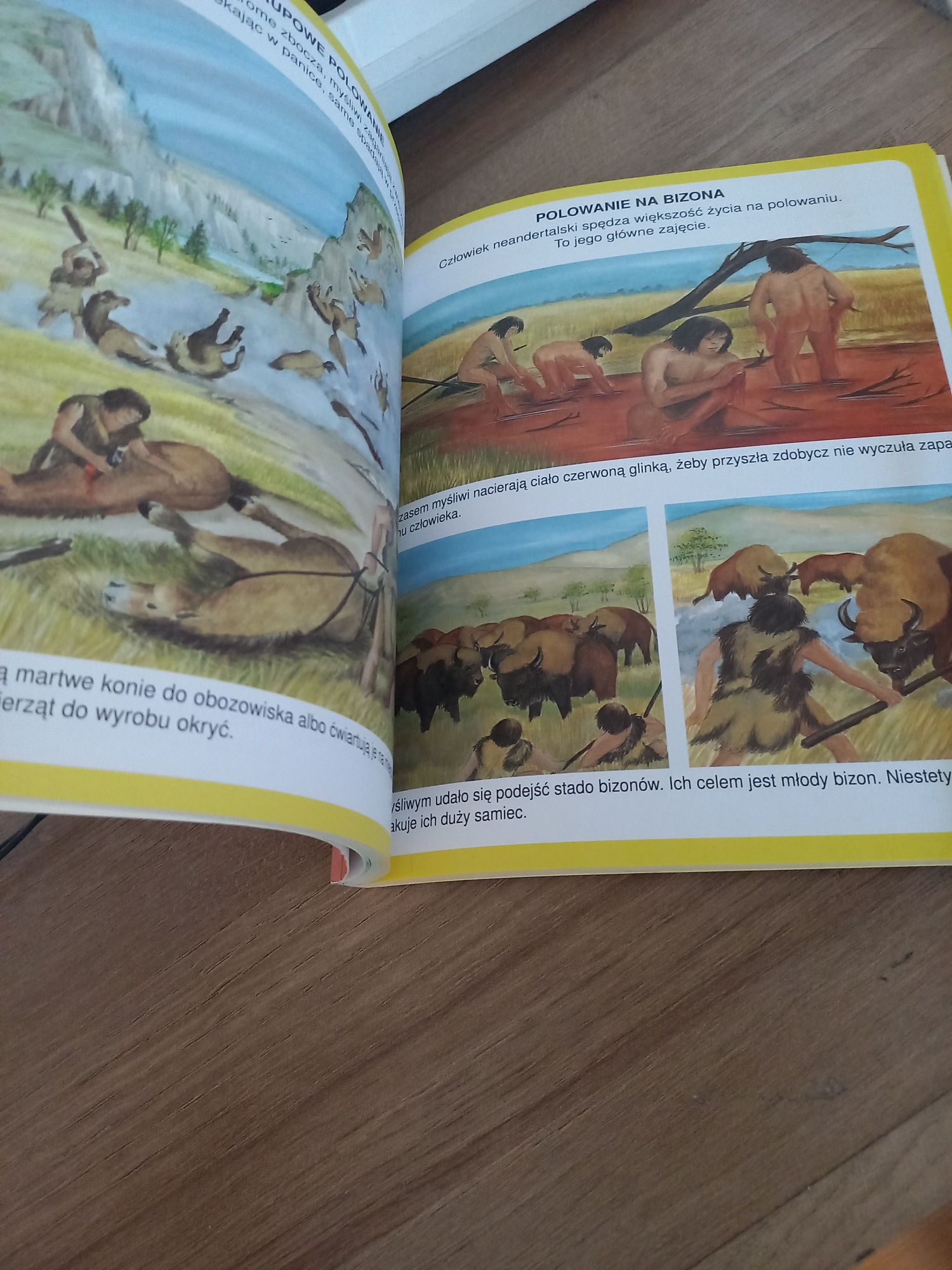 Książka dla dzieci-dinozaury i prehistoria