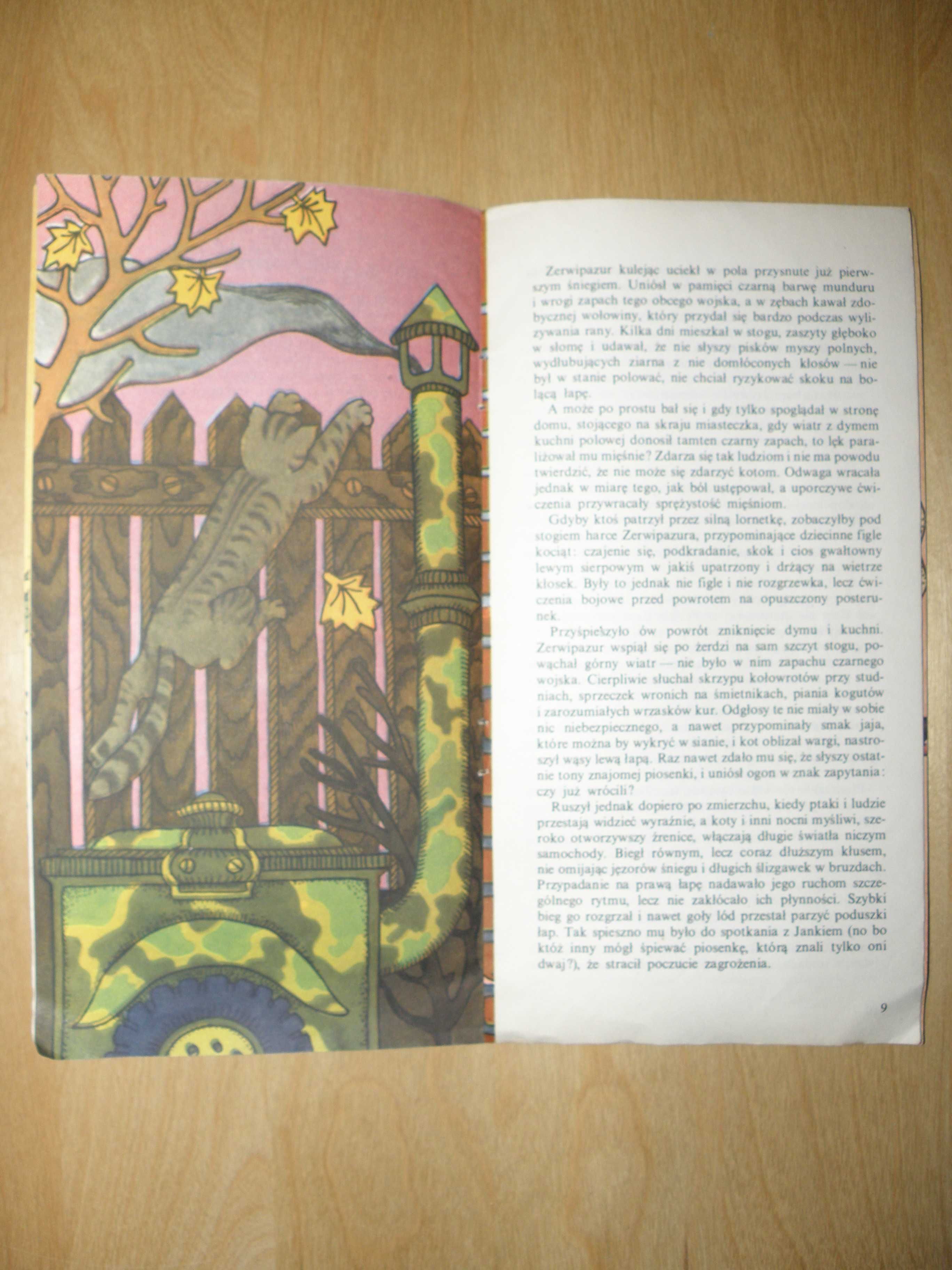 Janusz Przymanowski - Fort Zerwipazura