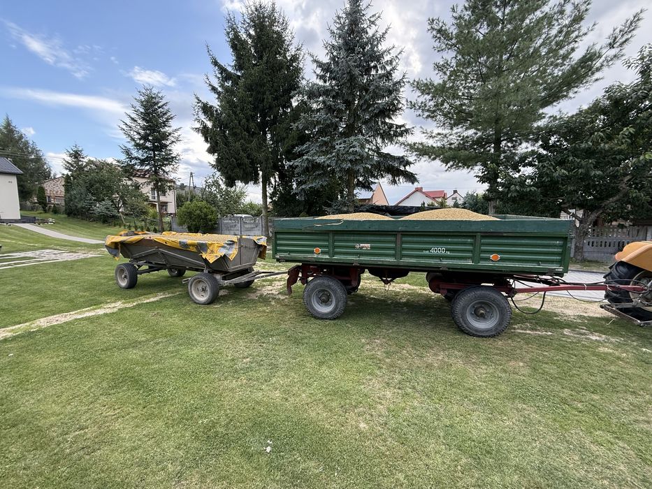 Owies bingo zbiór 2025r.