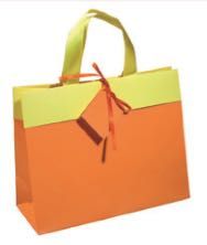 Sacos de Papel Vários