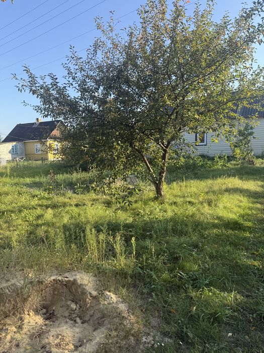 Продам дачу  с. дуби