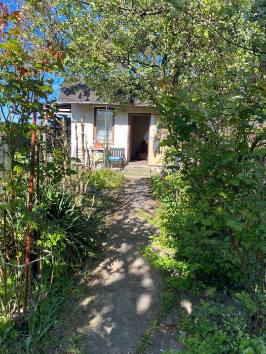 Działka ROD Przyjaźń około 500m2