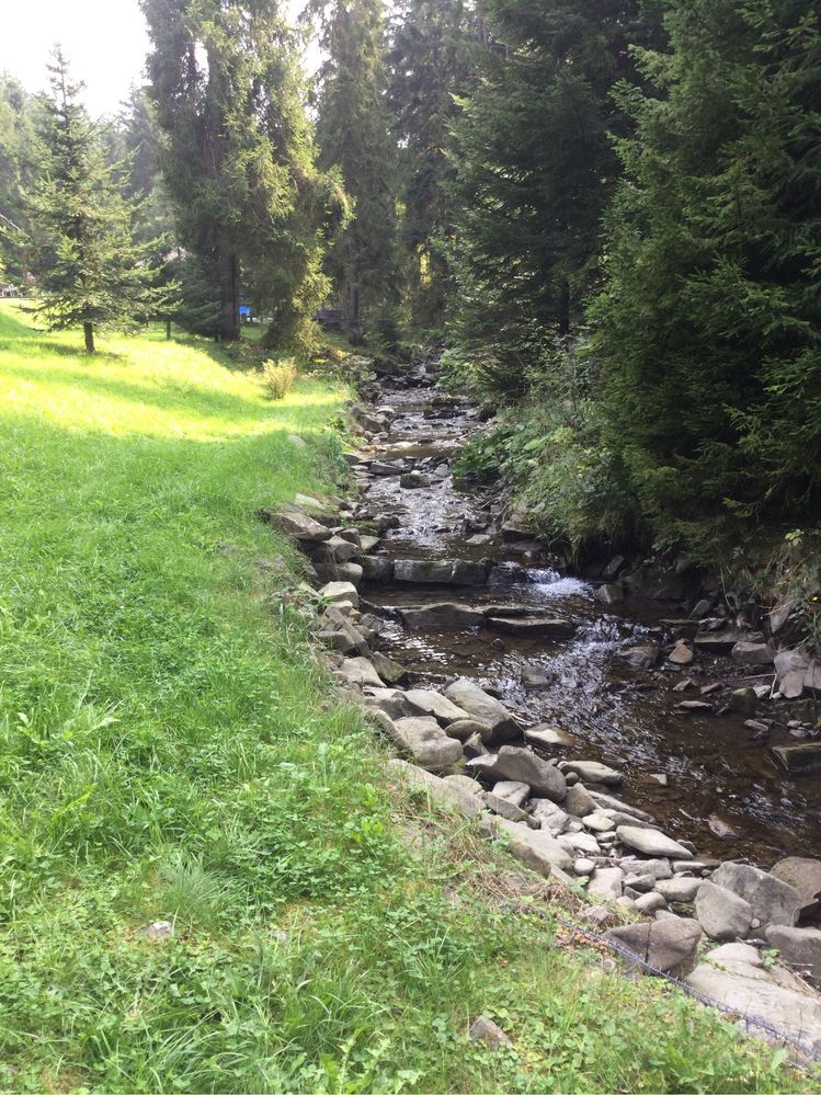 Domek w górach. Las, cisza, strumyk,Termy Gorce, Turbacz. Basen