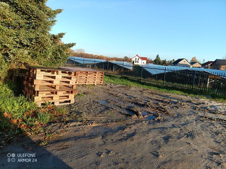 Oddam palety za darmo