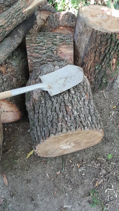 Olcha do wędzenia Buk 40kg odkorowane