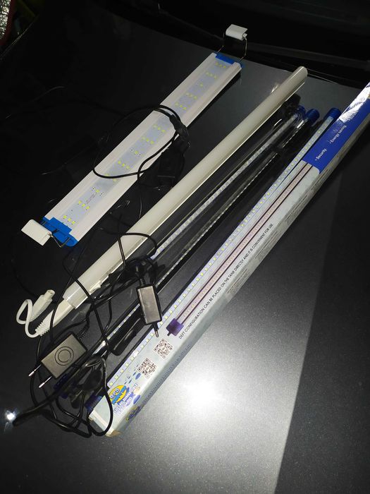 Iluminação  e decoração de aquário