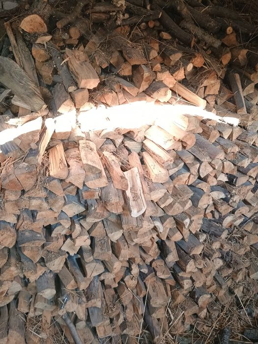 Drewno sosnowe suche porąbane