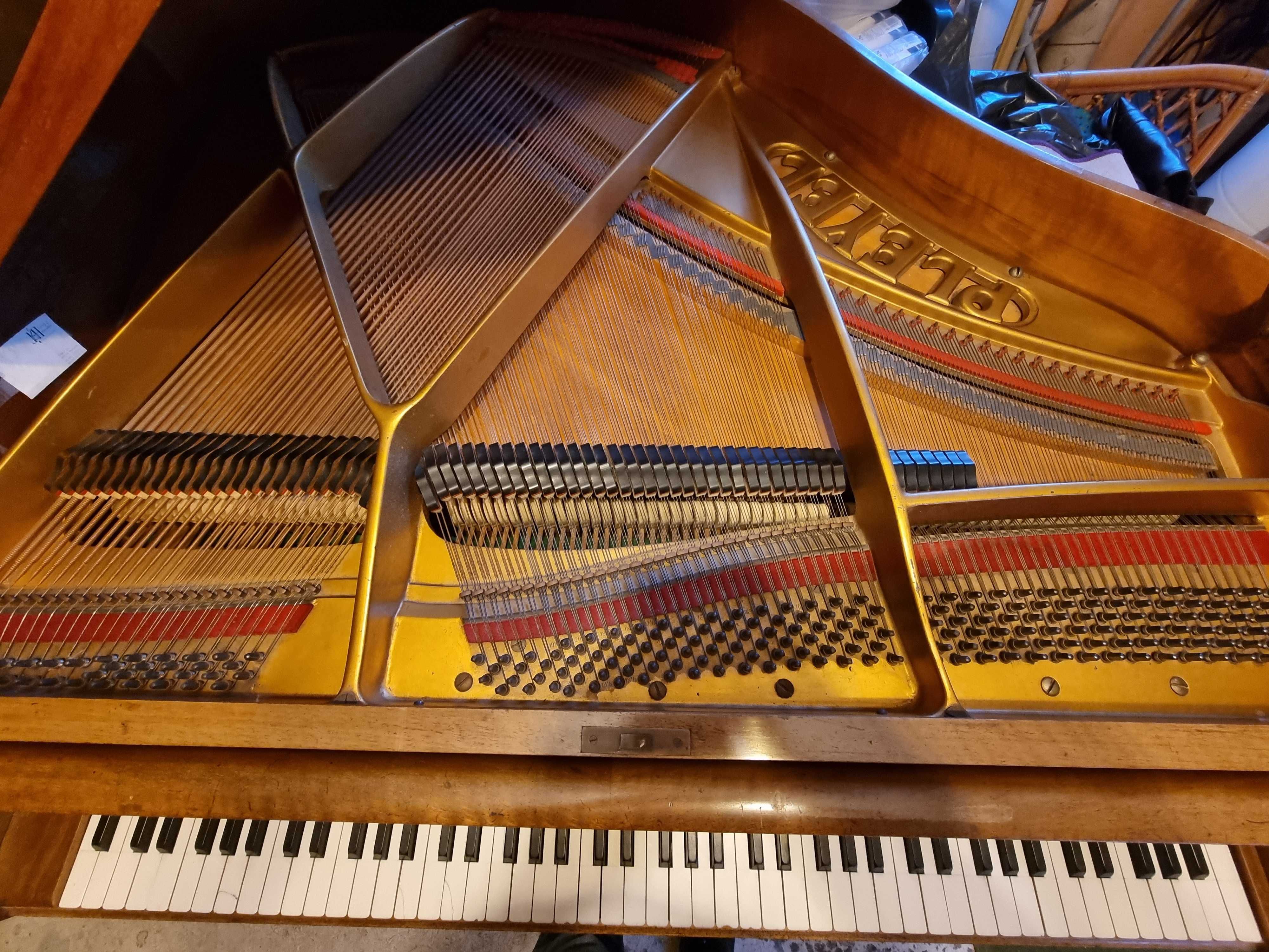 Fortepian Pleyel - 130 cm