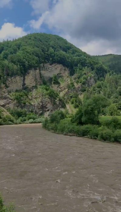 Будинок в Карпатах