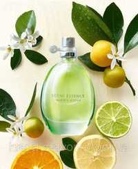 Avon Scent Mix Sparkly Citrus, 30 мл (ейвон скент мікс цитрус) парфуми