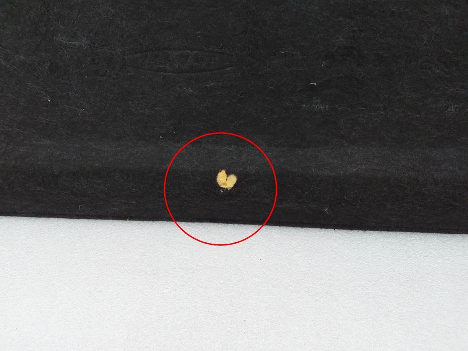 Chapeleira / tampo da mala PEUGEOT 307 (3A/C)