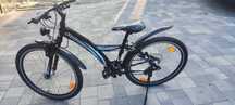 Rower Prince Wild heater 26 cali prądnica