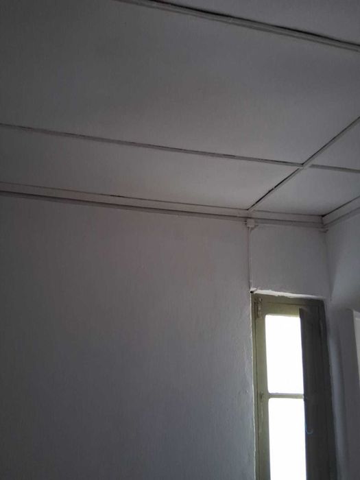 Aluga se casa e oficina