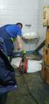 POGOTOWIE Kanalizacyjne, WUKO -Udrażnianie rur, hydraulik