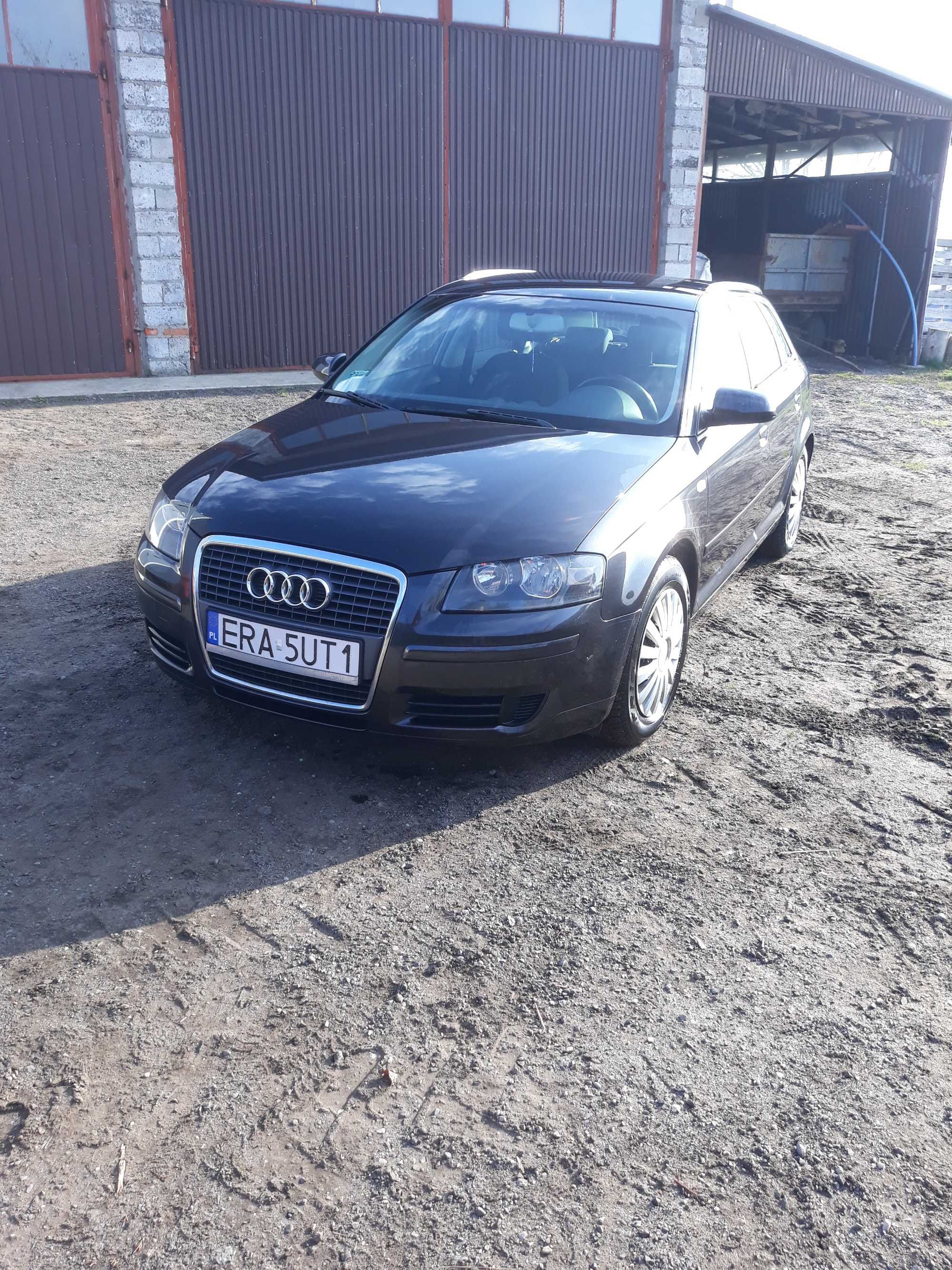 Audi A3 8p 2008r 1.9 TDI