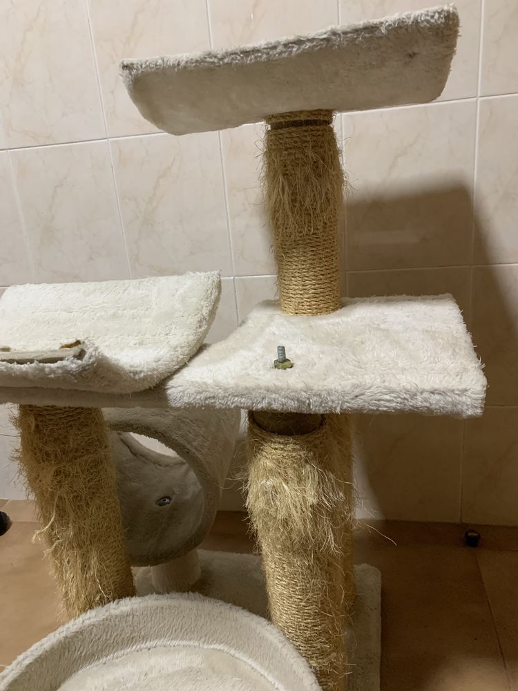 Arranhador gatos