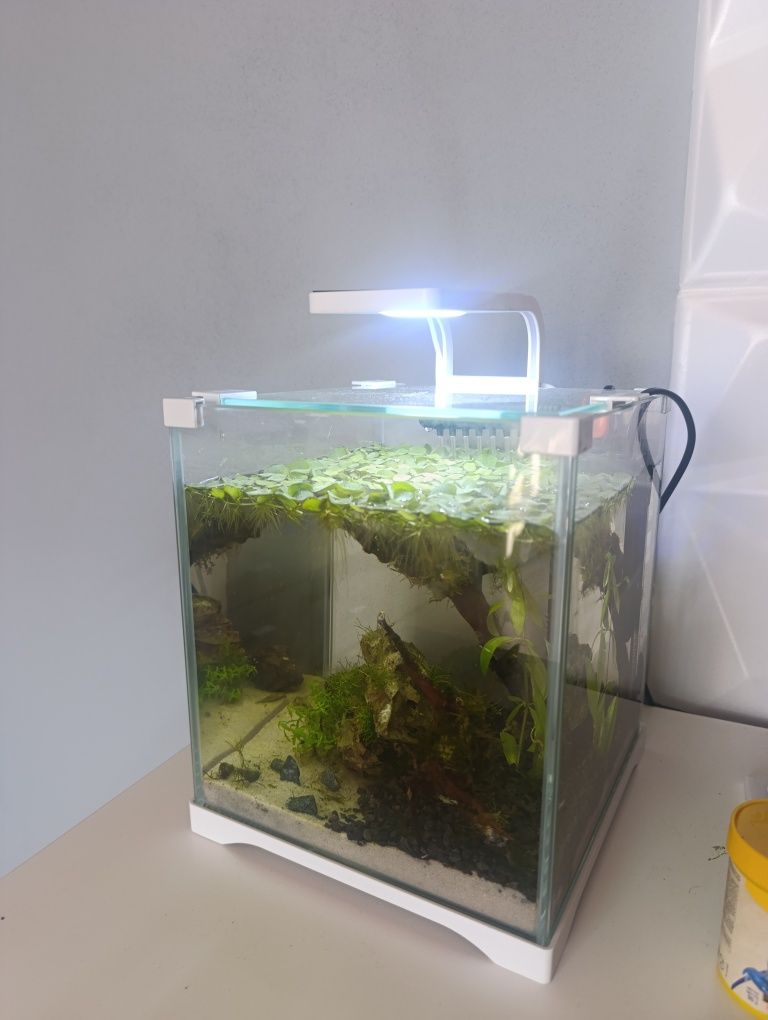 Akwarium 10 litrów