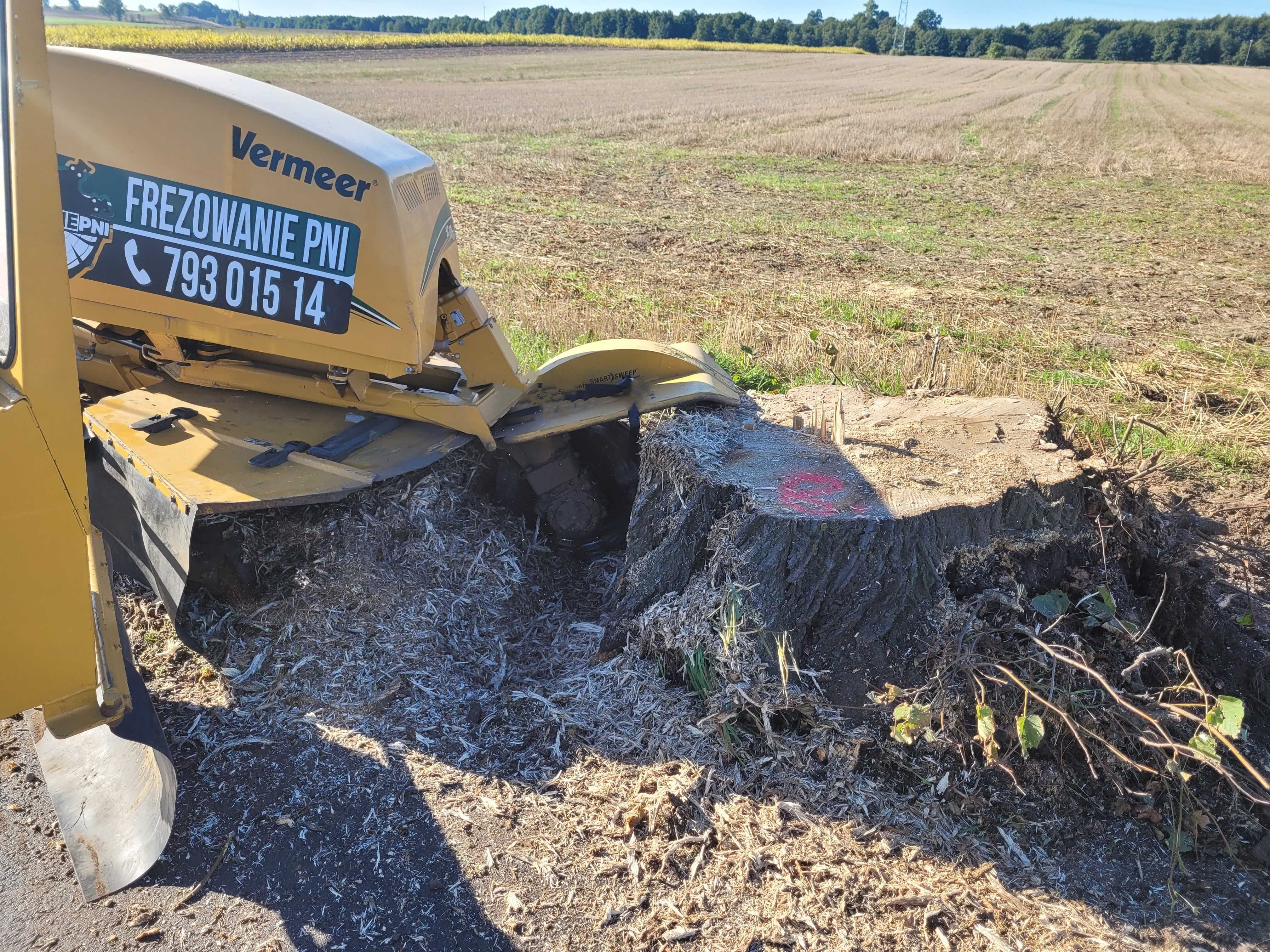 Usługa Frezarką Frezowanie Karp Usuwanie Pni Korzeni frezarka drzew