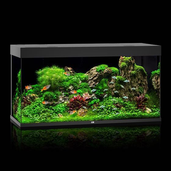 NOWE Akwarium Juwel Rio 350 LED, zestaw akwariowy