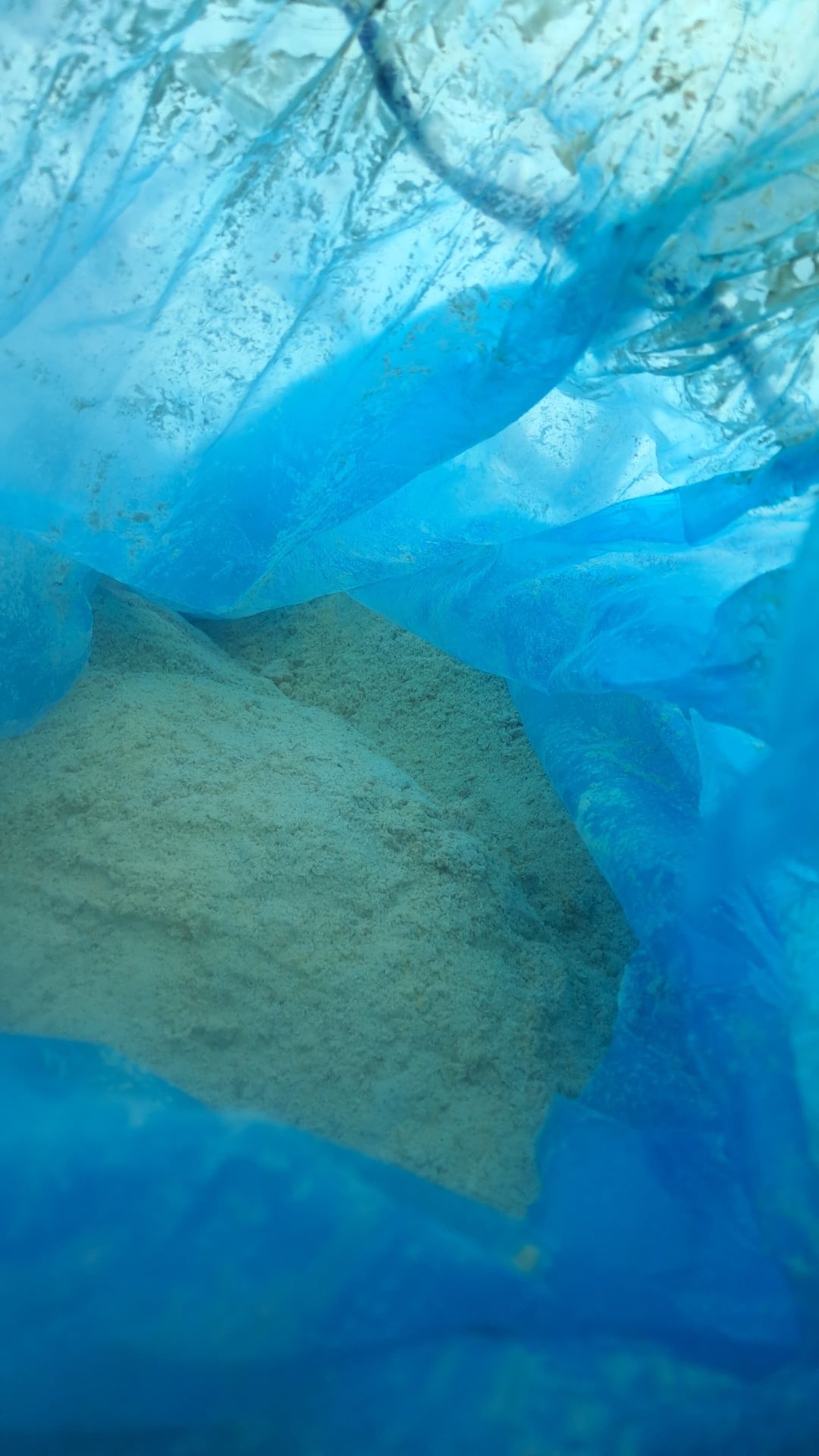Kukurydza kiszona,Big bag