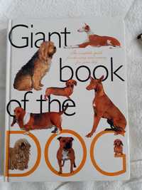 Giant book of the Dog