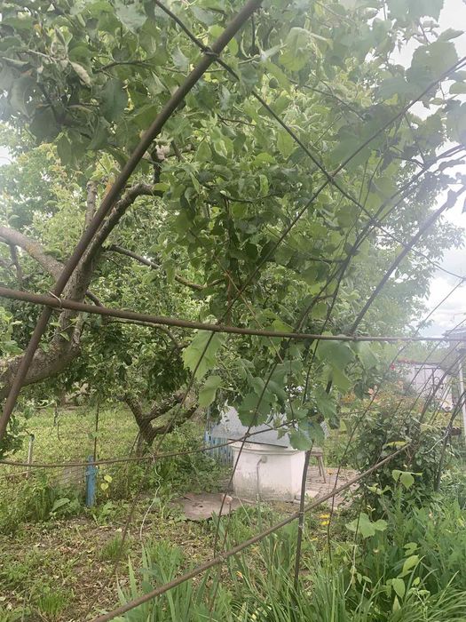 Будинок з усіма зручностями в Лемешівці