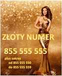Złoty Numer telefonu (cyfra) 55.555.555 Platynowy Numer telefonu