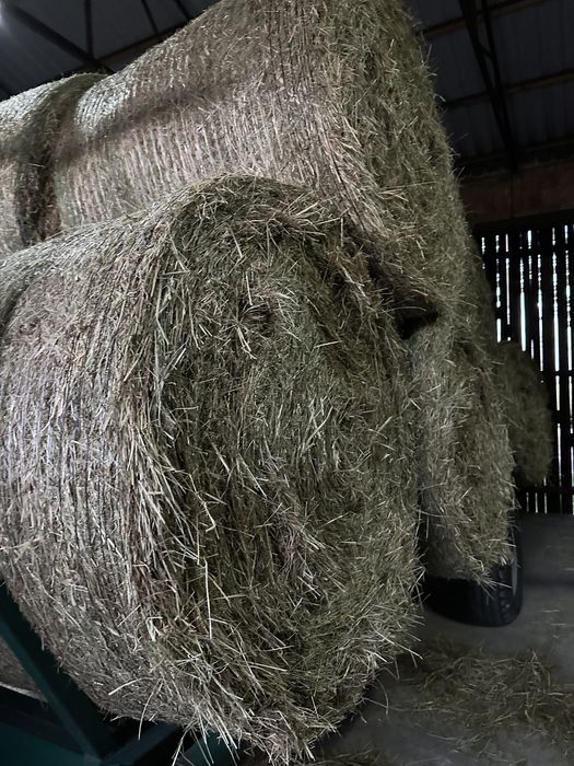 Baloty siana 120 tegoroczne pierwszy pokłos