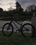 Specialized P1 dirt
